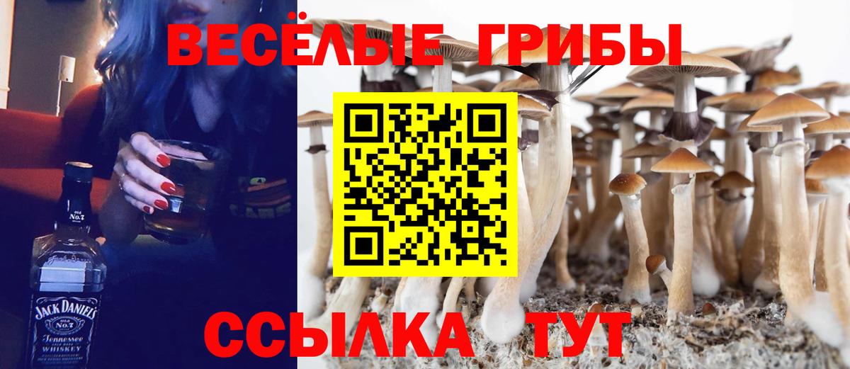 Псилоцибиновые грибы Psilocybine cubensis  Псилоцибиновые грибы мицелий  Тула  Вход с VPN 